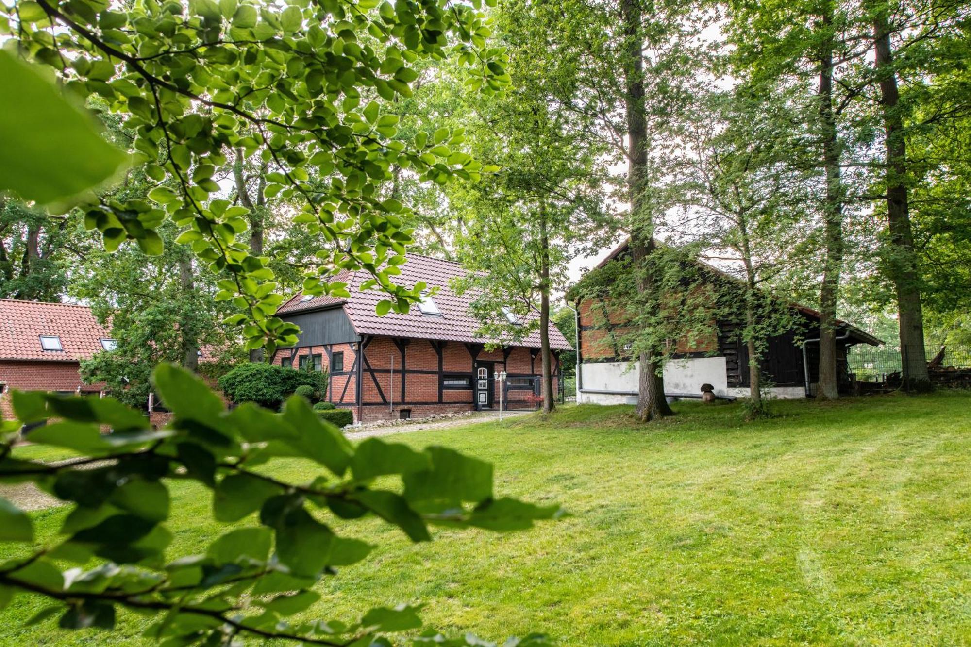 Traumhaftes Anwesen In Der Lueneburger Heide Apartment Soltau Exterior photo